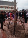 Ngành GD&ĐT Hà Đông Phát động Tết trồng cây Bính Thân 2016